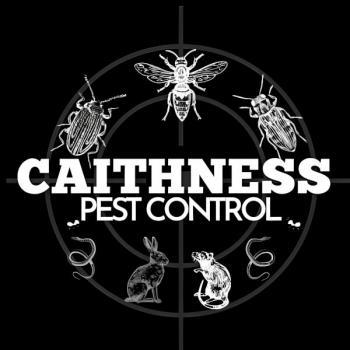 Photograph of Caithness Pest Control