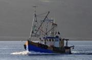 Thumbnail for article : £1.4m For Projects Supporting Sustainable Fishing And Fisheries Science Across The Uk