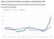 Thumbnail for article : UK inflation hits 10.1%  - Highest Since 1990