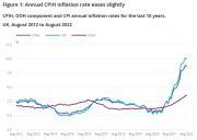 Thumbnail for article : Consumer Price Inflation, UK: August 2022 - Inflation Dips To 9.9% - Prices Up Again
