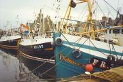 Thumbnail for article : Supporting The Seafood Sector And Supply Chain In Scotland