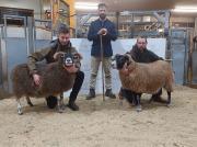 Thumbnail for article : Dingwall & Highland Marts Ltd - Sale 2 March 2023