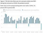 Thumbnail for article : January Usually Sees The Government Run An Overall Surplus, As This Is The Month When A Large Chunk Of Self-assessment Receipts Is Paid