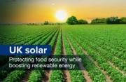 Thumbnail for article : Solar Projects Must Fit In With Food Security