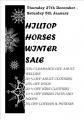 Thumbnail for article : Hilltop Horses Great Sale