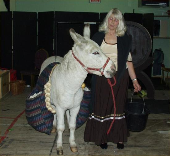 Photograph of HEE HAW DONKEY AT THE OPERA!