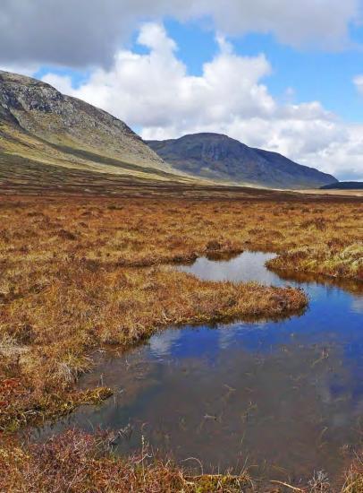 Photograph of New Research Shows Scottish Public Supports Investments To Restore Peatlands