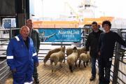 Thumbnail for article : Sailing To Success With Serco Northlink Ferries