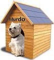 Thumbnail for article : Murdo's Mission For The Tourist Industry