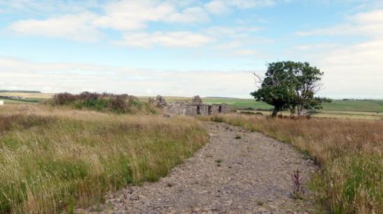 Photograph of Ruins and Land at Clashgall