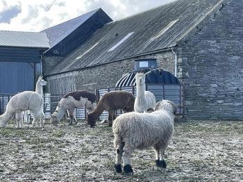 Photograph of Geise Farm Walk