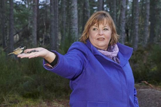 Photograph of £5m Award For Highlands & Islands Tourism