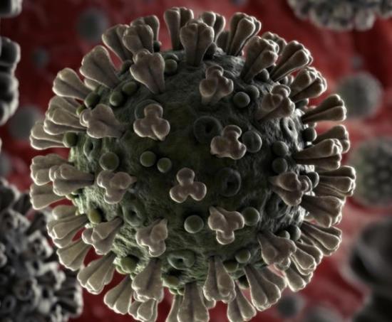 Photograph of Coronavirus Testing