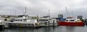 Thumbnail for article : New Research On Net Zero Opportunities For Scotland&#39;s Ports