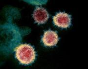 Thumbnail for article : First Minister calls for urgent four nation coronavirus talks