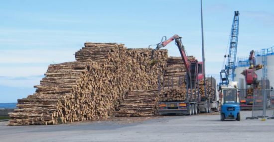 Photograph of Businesses Trading Timber Urged To Prepare For Change