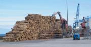 Thumbnail for article : Businesses Trading Timber Urged To Prepare For Change