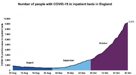 Photograph of Prime Minister's Statement On Coronavirus Covid-19 31 October 2020