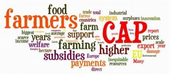 Photograph of Support For Farmers And Crofters - Simplification And Improvement Of Legislation