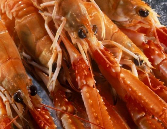 Photograph of Supporting The Langoustine Sector - £1 million assistance for new group