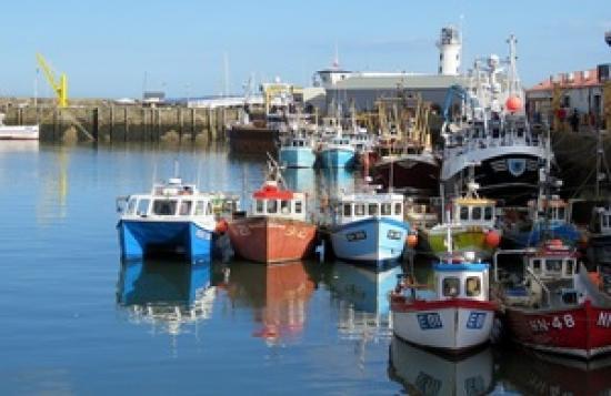 Photograph of Flagship Fisheries Bill Becomes Law