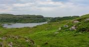 Thumbnail for article : £3.6 Million Boost For 29 Community Groups From The Scottish Land Fund
