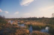 Thumbnail for article : New Chair To Lead Task Force On Sustainable Farming Of Peatlands In England