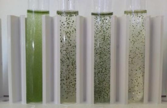 Photograph of Sustainable Fuels To Power RAF Jets