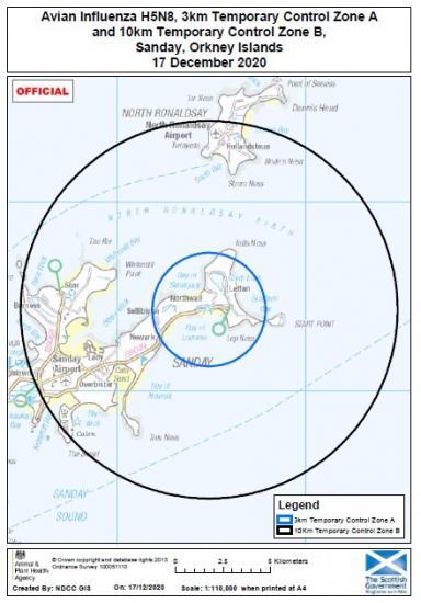 Photograph of Avian Influenza Case Confirmed In Orkney