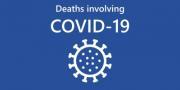 Thumbnail for article : National Records For Scotland - Deaths Involving Covid-19 Week 1: 4 Jan-10 Jan