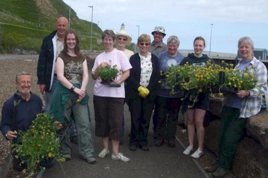 Photograph of Warm Weather Boosts Butterfly Volunteers