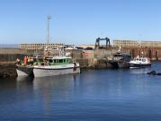 Thumbnail for article : Busy Gills Harbour