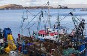 Thumbnail for article : Additional Support For UK Fish And Shellfish Exporters To The EU