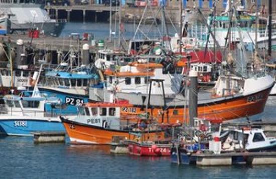 Photograph of Increased Support For Fishing And Shellfish Businesses - Updated 9 March 2021