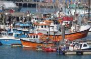 Thumbnail for article : Increased Support For Fishing And Shellfish Businesses - Updated 9 March 2021