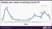 Thumbnail for article : Deaths in Scotland Involving Covid-19 Week 9: 1 March - 7 March