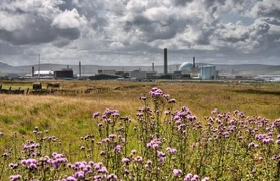 Photograph of Measuring The Unmeasurable: Research Paper Could Help Dounreay Clean Up Plutonium Legacy