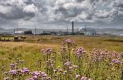 Thumbnail for article : Measuring The Unmeasurable: Research Paper Could Help Dounreay Clean Up Plutonium Legacy