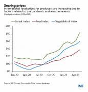 Thumbnail for article : Four Facts about Soaring Consumer Food Prices