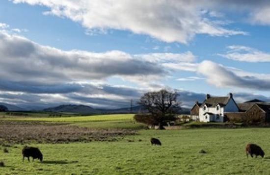 Photograph of Rural Scotland To See Significant Boost In 4g Coverage