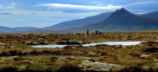 Photograph of Aiming For A World Class Bog: Celebrate The Flow Country On International Bog Day