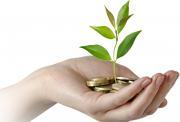 Thumbnail for article : Financial Support for Artists and Craft Makers