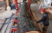 Thumbnail for article : Moray Timber Firm To Create Jobs And Cut Carbon