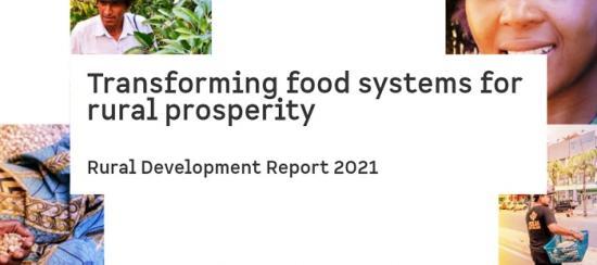 Photograph of Small-scale Farmers Need Decent Wages - Ifad Calls On World Leaders To Commit To Action At Food Systems Summit