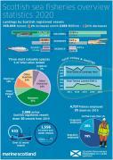Thumbnail for article : Fishing Industry In 2020 Statistics Published