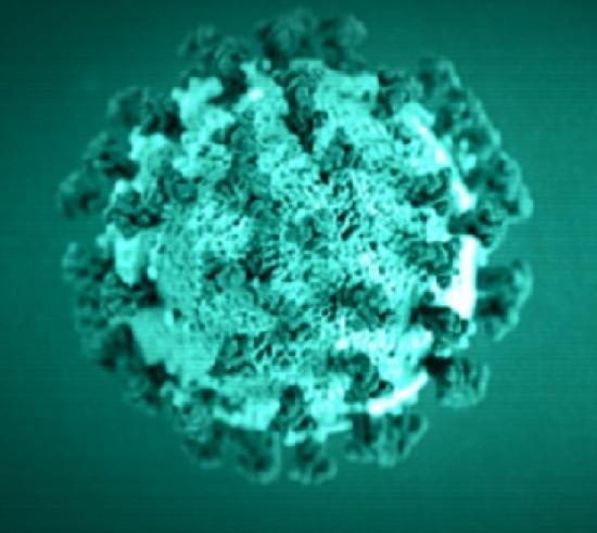 Photograph of First Oral Antiviral For Covid-19, Lagevrio (molnupiravir), Approved By MHRA