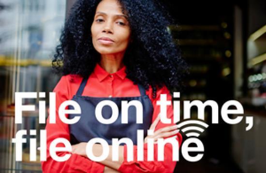 Photograph of File Companies House Accounts Early And Online To Avoid Delays