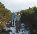 Thumbnail for article : Caithness Volunteers Clear Castletown Path