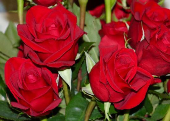 Photograph of Valentine's Day: The Pressures Of Shopping For Romance