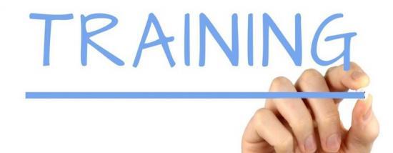 Photograph of Highland Council Announces It Is Facilitating Paid Training And Work Experience